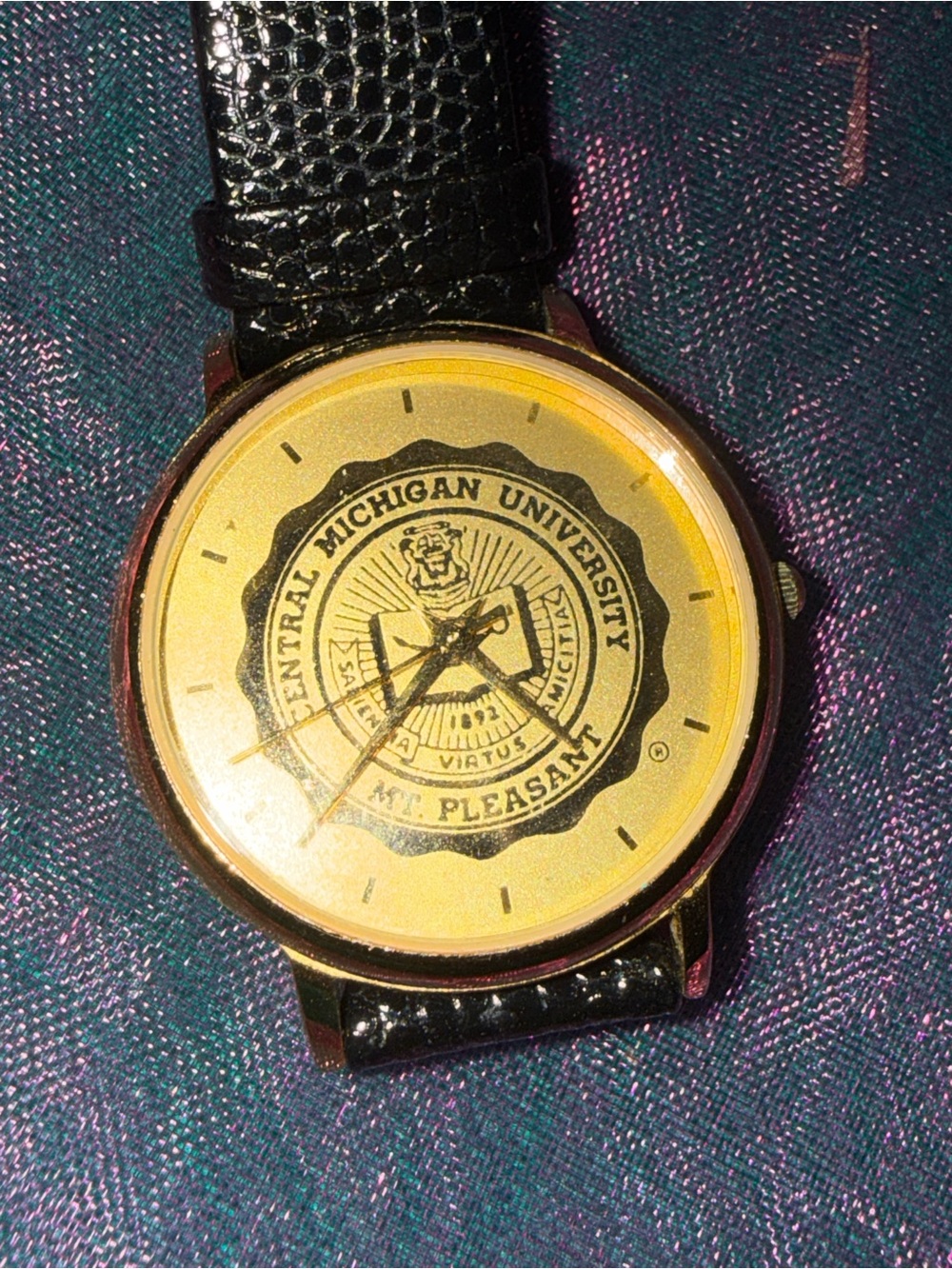 Central Michigan University Alumni Commemorative Women’s Gold Tone Watch New